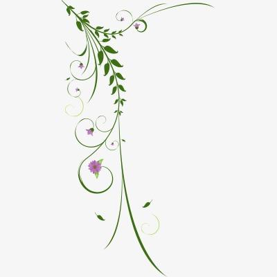 森系小清新立体叶子藤蔓分割线花边矢量