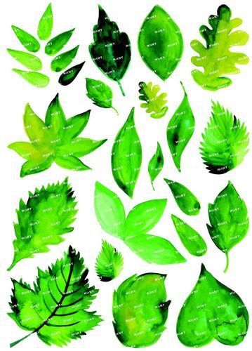 大号f0309-02森系树叶卡通动漫笔记本电脑死飞旅行拉杆箱防水贴纸