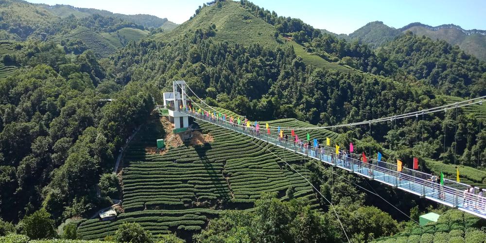其它 中国长寿之乡～～昭平 写美篇 南山茶海玻璃桥 南山茶海 桂江