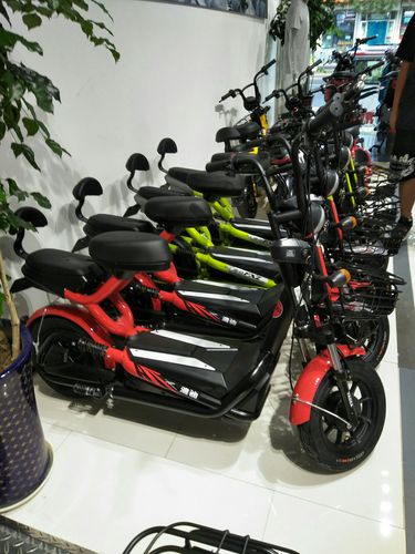 国家品牌电动车雅迪展示