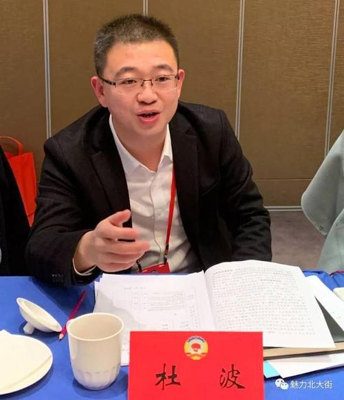 杜波委员:北大街街道办事处副主任(主持工作)