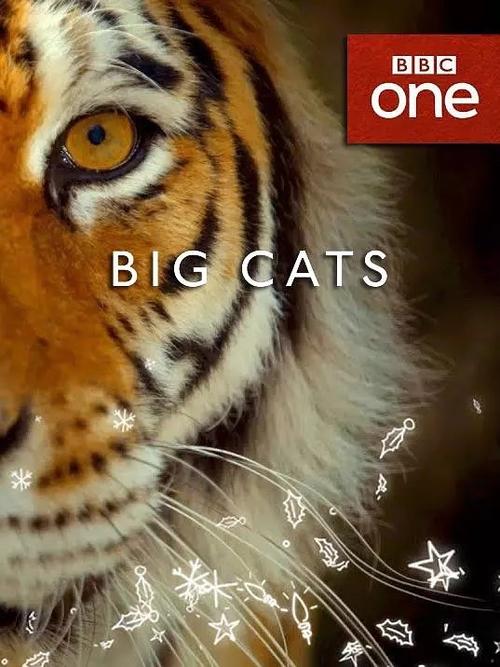 2018年英国bbc纪录片《大猫 big cats》高清国英双语中字百度云&迅雷