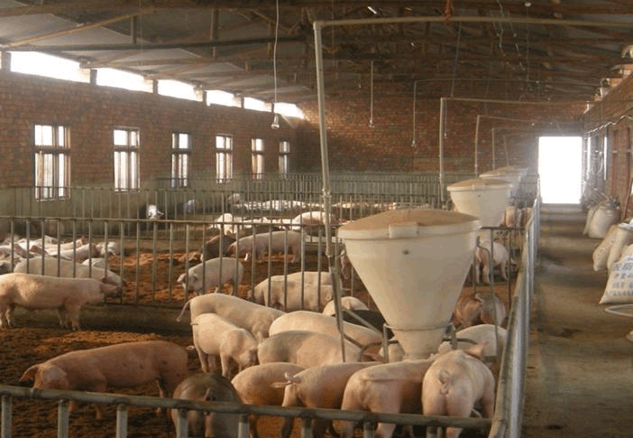 发酵床全套技术