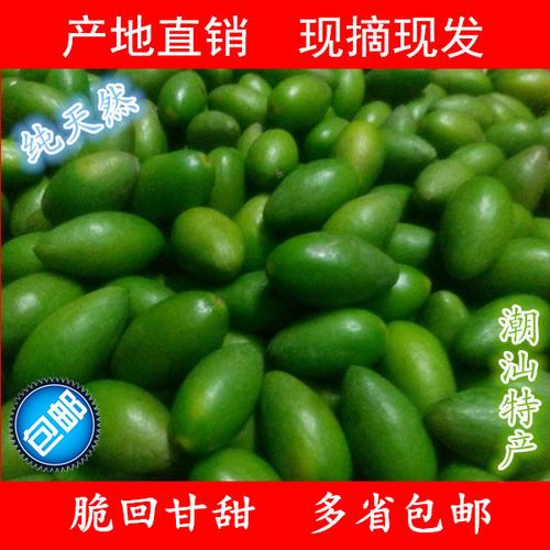 潮汕特产青橄榄 新鲜生青果 新鲜生橄榄 现摘现发橄榄
