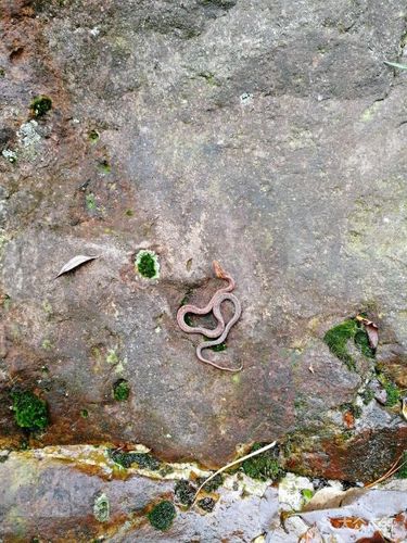 太和古洞图片 - 第60张