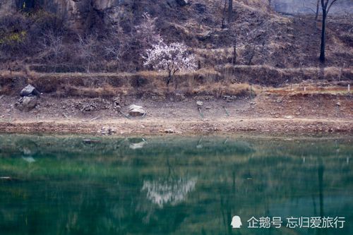 漫步济南海拔最高的村庄汩汩流淌的清泉