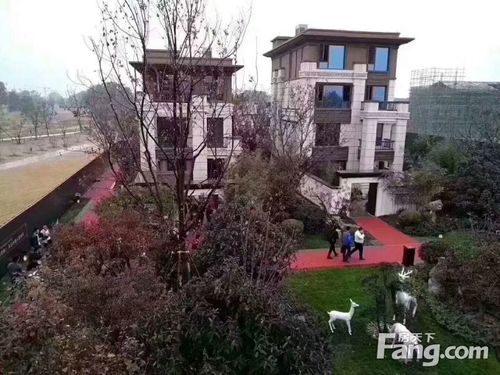 荣盛高尔夫温泉小镇!20万买住宅,60万买别墅北进齐河,济南北部