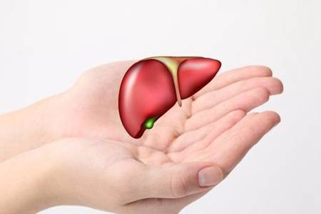 脂肪肝危害与治疗方法