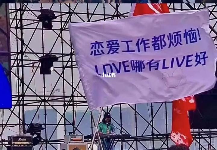 扛大旗_音乐节_娱乐_音乐_音乐现场/mv