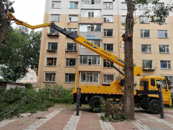 为民解忧区园林中心帮助居民完成树木修剪