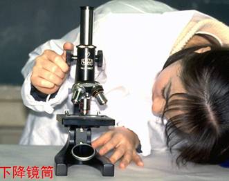 观察前,操作显微镜下降镜筒时,眼睛一定要看到( )