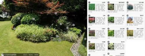 100个 · 景观植物配置精品案例研究 · 值得收藏