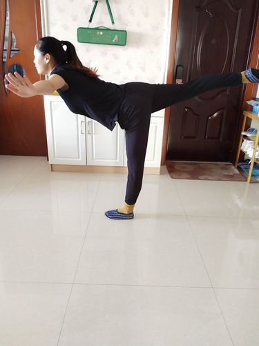 燕式平衡侧面示范