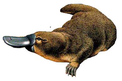 【新教育实验】微笑吧教室——定南县第一小学二(5)班