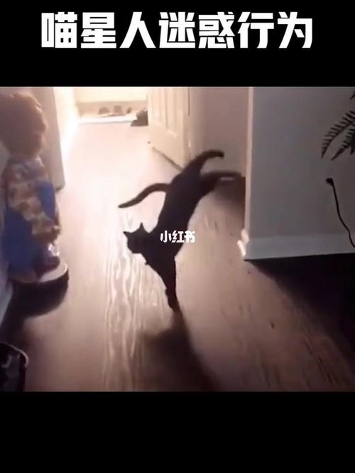 来朕给你表演一个倒立_倒立_搞笑日常_搞笑_搞笑其他