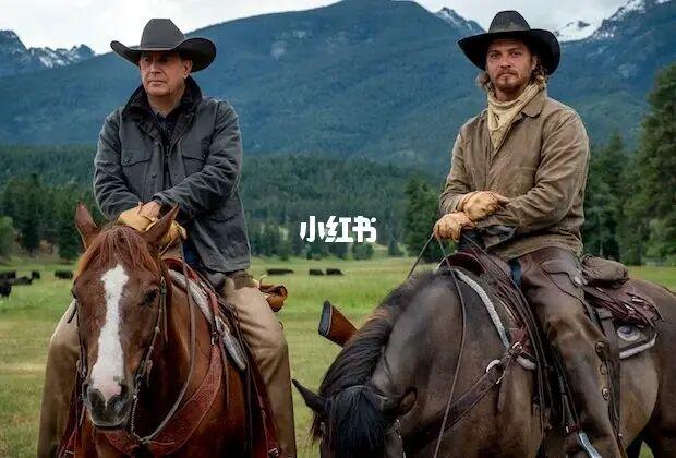 全美最强钉子户家族:美剧《黄石》