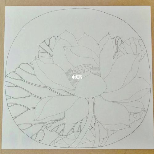 工笔临宋——出水芙蓉图步骤二_花卉_工笔画_文化_绘画
