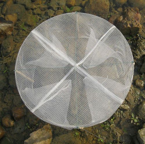 批发大号大白虾笼/虾网/捕渔网/捕虾笼/捕鱼笼