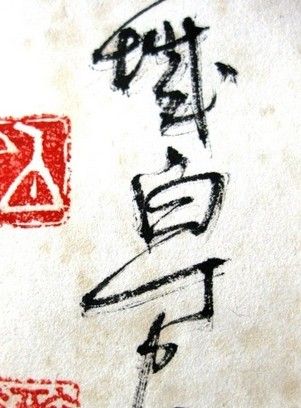 白丁的介绍