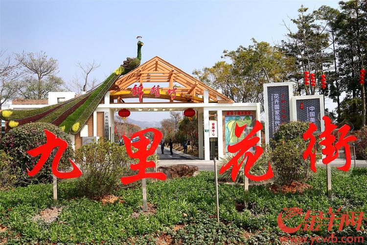 农历新年临近,2月6日,从化区西和万花风情小镇九里花街正式开街,西和