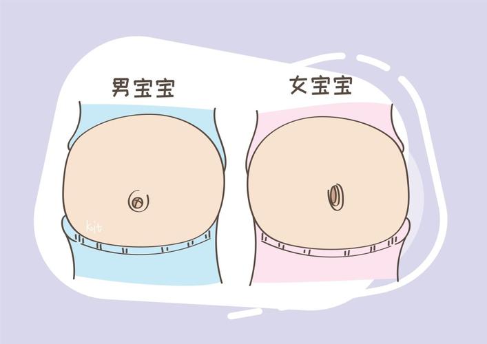对于这一类的准妈妈来说怀孕之后很可能就会出现肚脐凸出的现象,相对