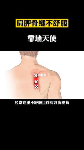 肩胛骨缝粘连 #肩胛骨内侧缘痛 可以参考这个系列,配合训练_健身_运动