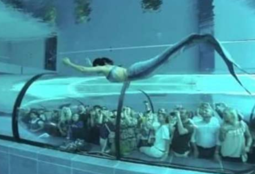 美国这一家水族馆,养了一条"美人鱼",吸引众多游客来欣赏!