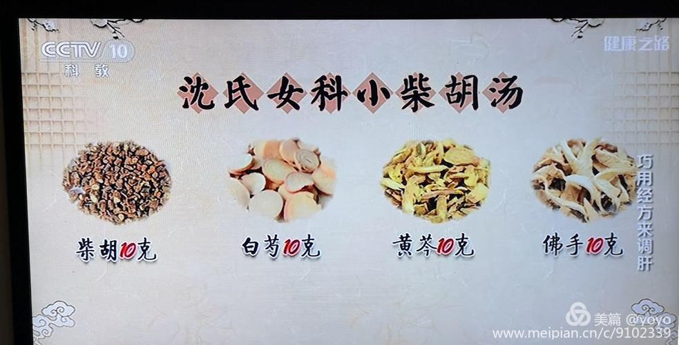 巧用经方调五脏(沈氏女科)