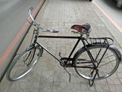 邻居大爷的大金鹿帮忙出—沈阳摩托电动自行车