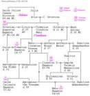 在百科词条中搜索"帝王世系"共得到 918个搜索结果