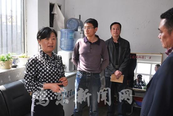 县委副书记王素到我镇检查政务中心和森防工作