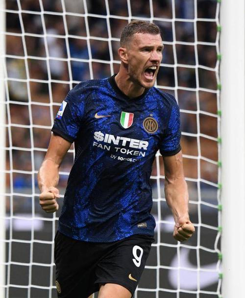 国际米兰队球员哲科庆祝进球.