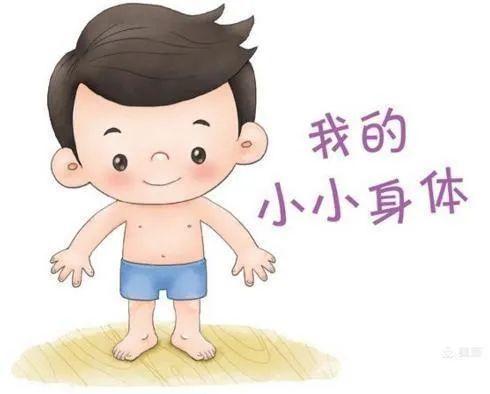 万婴藏珑幼儿园小小的身体大大的秘密