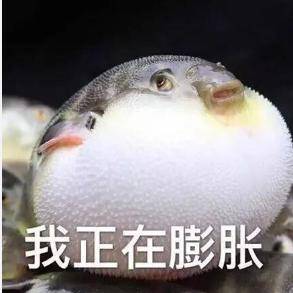 我现在没时间系列表情包 我现在正在膨胀-搞笑频道