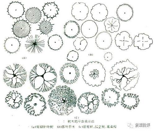基础学堂 | 园林平面图绘制