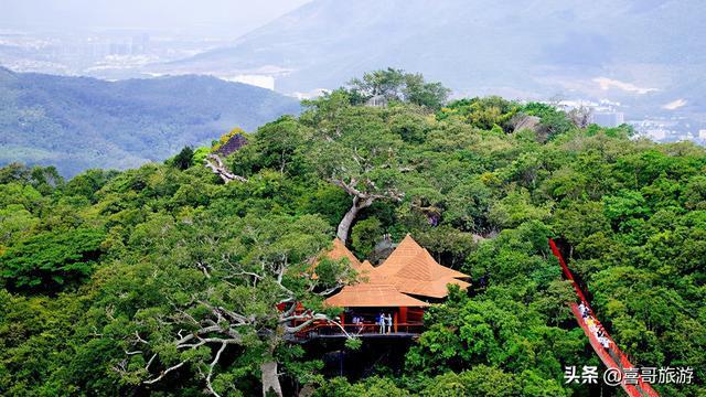 海南乐东黎族自治县自驾游有好玩的景点吗怎么安排行程