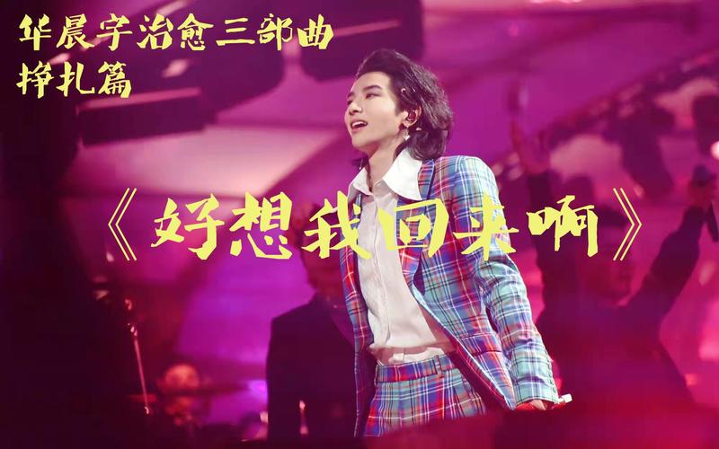 挣扎篇好想我回来啊强音质饭拍华晨宇治愈三部曲b1区视角主屏幕focus