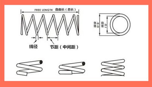 【中凸压缩弹簧】多款材质供选复位能力强东莞厂家速销电泳压簧