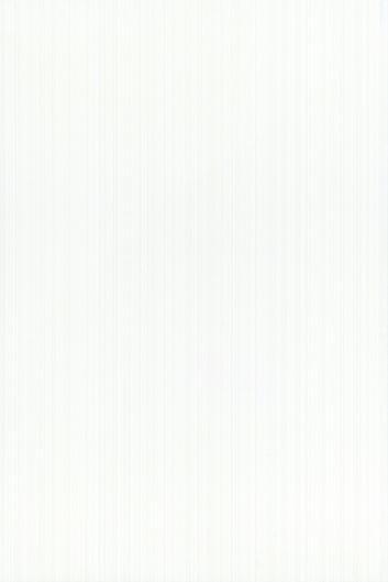 全白图片_一张全白的图片