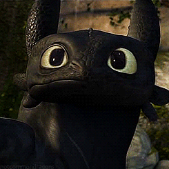 卖萌的无牙仔!喜欢的转走吧!~ 图trumblr: notcommondragons