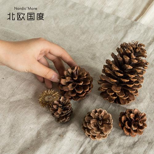 花房饰品 阿尔伯塔美国油松果松子松塔假花 美式乡村 售完无补