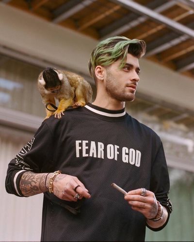 zayn malik 泽恩马利克 zayn one direction 1d 小破团 小泽绿头发杀