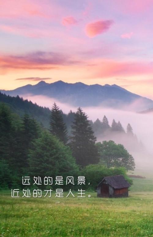 远处的是风景近处的才是人生