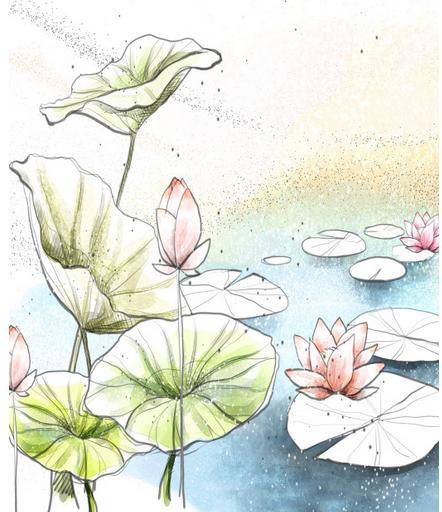 请教我怎么画荷叶