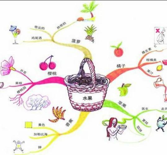 想要学习好思维导图构建的知识框架效果杠杠滴