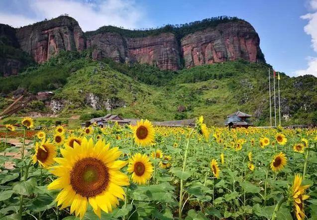 昨天北流铜石岭被挤爆了!数千信宜市民前往体验免费开放日