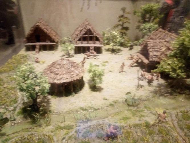 这是我们历史上学过的河姆渡人.