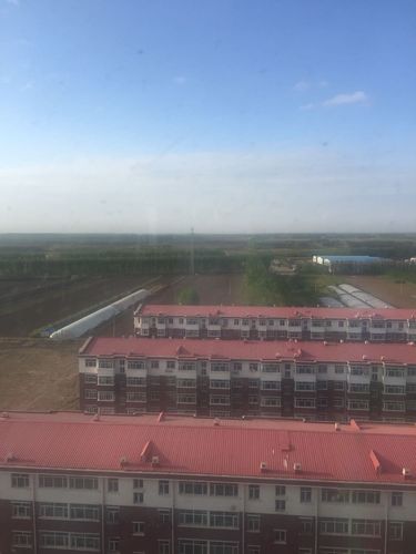 大庆市肇州县南环东路附近天气预报