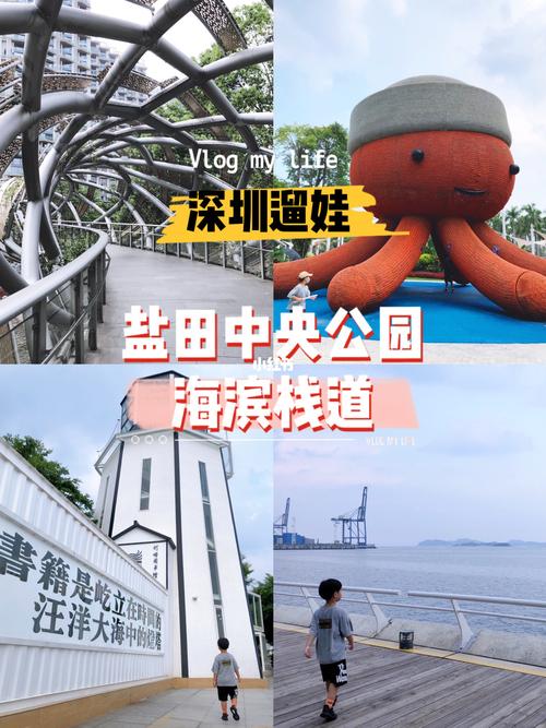 盐田海滨栈道 灯塔图书馆 中央公园大章鱼_深圳遛娃好
