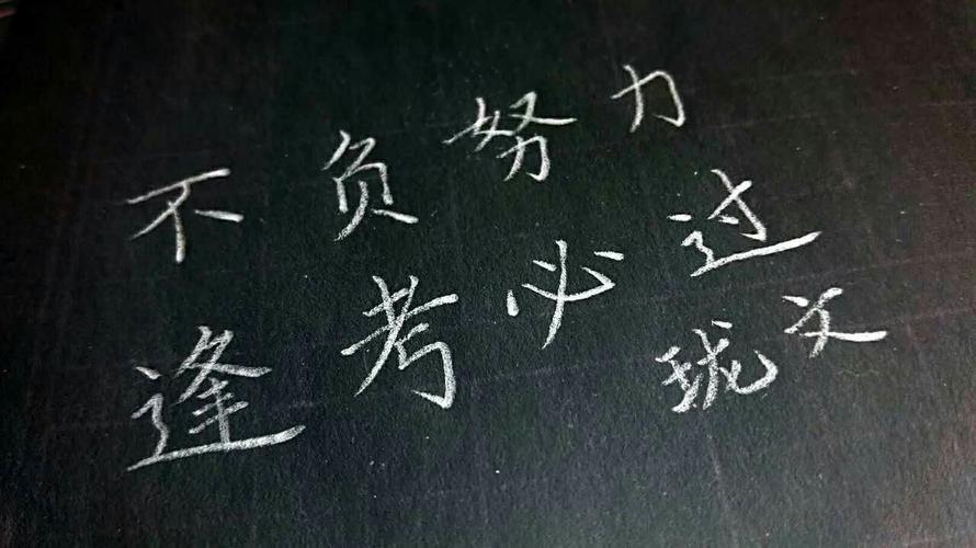 【书写人生手写团】第525天:2017,不负努力,逢考必过.